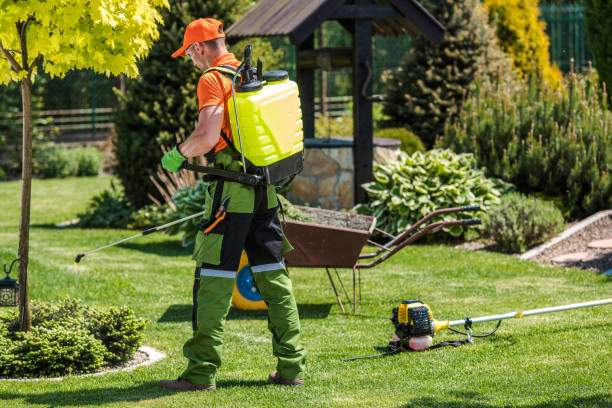 Best Organic or Eco-Friendly Pest Control  in Brush Prairie, WA